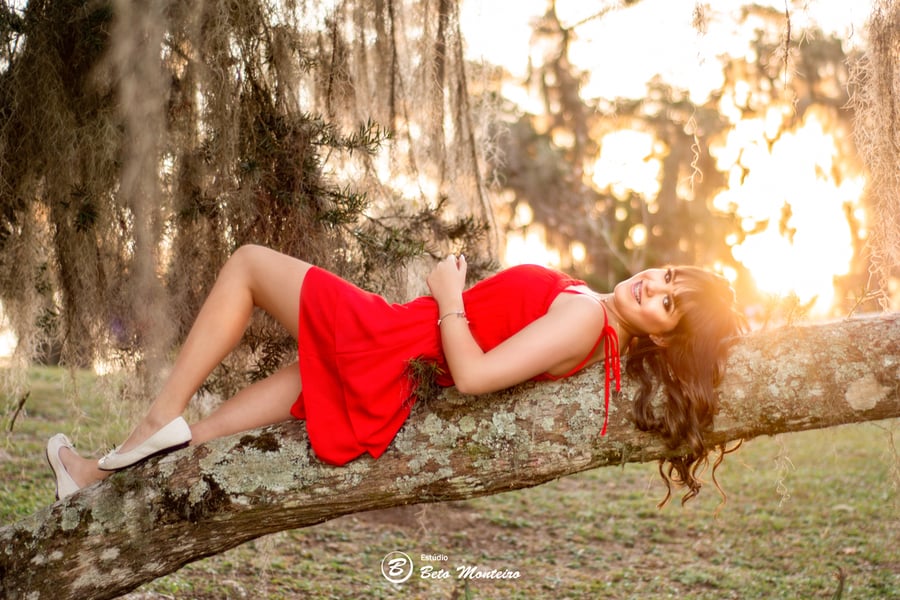 Book de 15 anos 