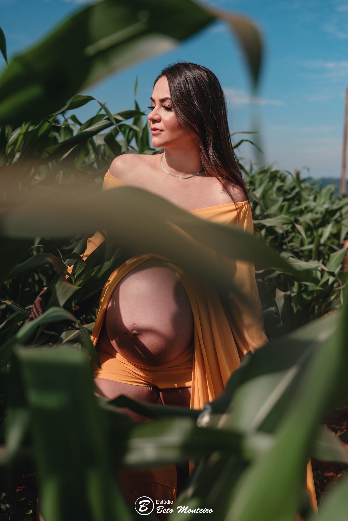 Book Gestante e Família em Curitiba - Book gestante - Book de gestante lifestyle - Fotos ao ar livre - Grávida - Gestação - Book de gestante - Estúdio Beto Monteiro - Carol - Carolyna - Alice - Lindolfo