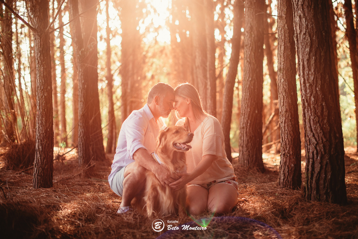 fotografo de casamento - videos de casamento - filmagem - casamento - cinegrafista - filmmaker - wedding - produtora - curitiba - estudio beto monteiro - casal - pre wedding - Mirian e Ulisses e Bella - Pet - Golden - Foto com pet - Familia