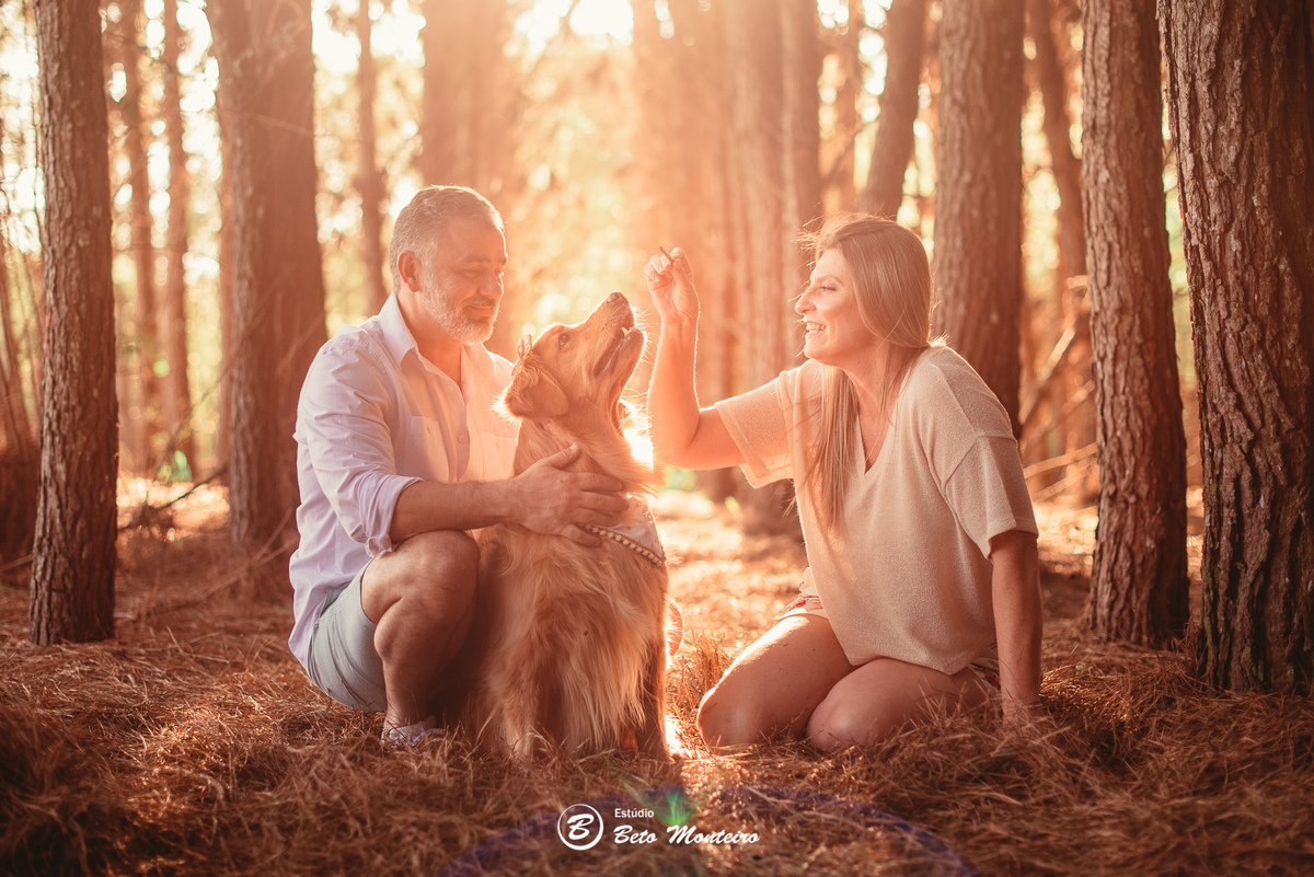 fotografo de casamento - videos de casamento - filmagem - casamento - cinegrafista - filmmaker - wedding - produtora - curitiba - estudio beto monteiro - casal - pre wedding - Mirian e Ulisses e Bella - Pet - Golden - Foto com pet - Familia