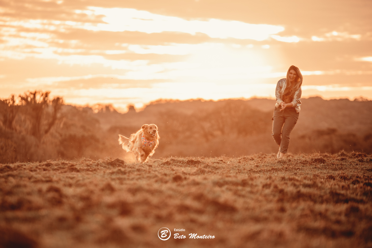 fotografo de casamento - videos de casamento - filmagem - casamento - cinegrafista - filmmaker - wedding - produtora - curitiba - estudio beto monteiro - casal - pre wedding - Mirian e Ulisses e Bella - Pet - Golden - Foto com pet - Familia