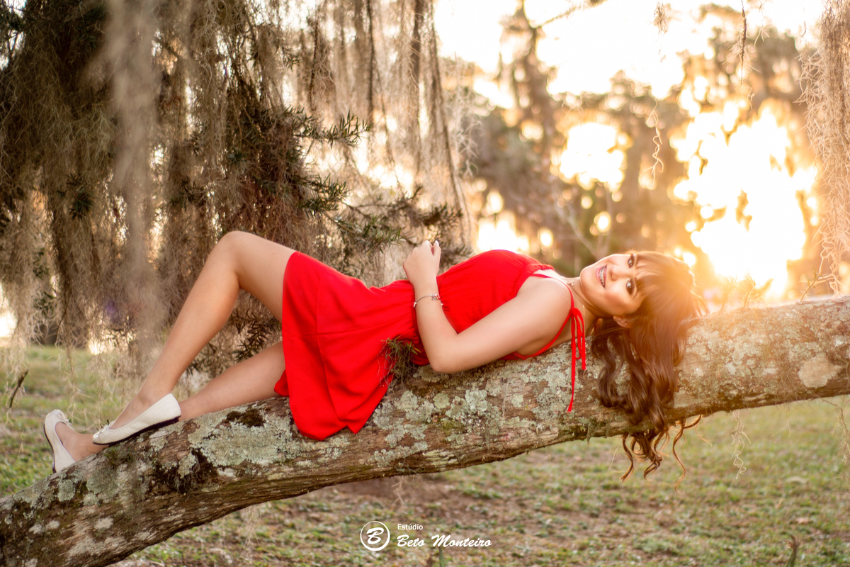 Book de 15 anos 