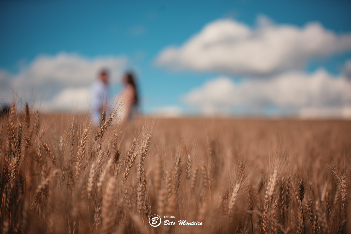 fotografo de casamento - videos de casamento - filmagem - casamento - cinegrafista - filmmaker - wedding - produtora - curitiba - estudio beto monteiro - casal - pre wedding - millena e anderson - plantação trigo - espaço do campo - por do sol - cachoeira
