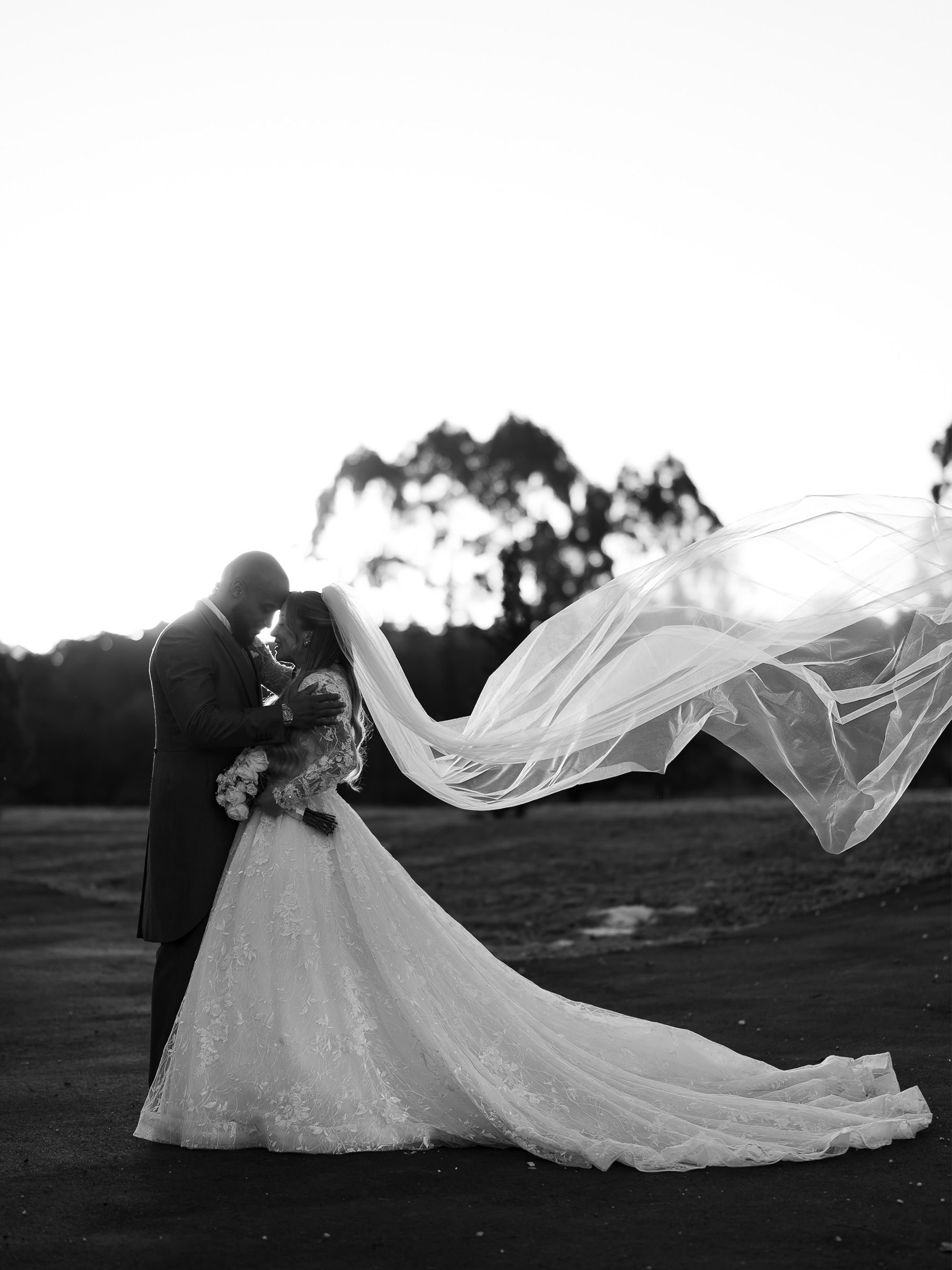 Ana e Rodrigo | Casamento